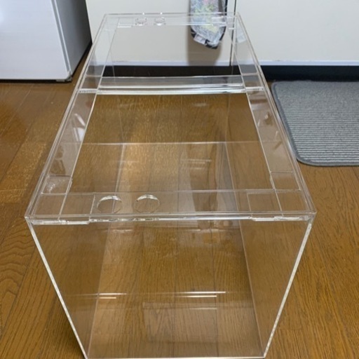 アクリル60センチ水槽