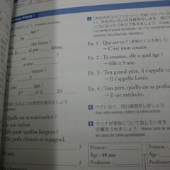 フラッシュ! (三訂版) エマニュエル アンティエ,三上 純子,ミシェル サガズの画像