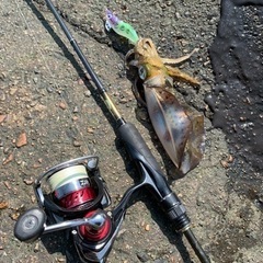 釣り仲間募集中！ - その他