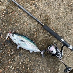 釣り仲間募集中！ − 富山県
