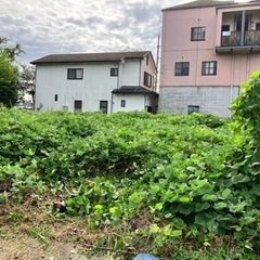 便利屋くるくるがあなたの土地を草刈りします！