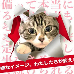 【特別日給】実施中★この高待遇を見逃すな！過去イチ稼げる自分になるなら＜ケーウィンズ＞で決まり！【髪色自由／履歴書不要】 有限会社ケーウィンズ 天理の画像