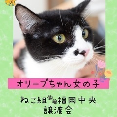 子猫の時にママになった心優しい女の子