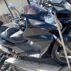 シルバーウィング