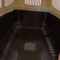 商談中　ペット用キャリーの画像