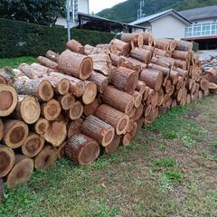★薪割り応援隊　募集　割った量の半分は無料でお持ち帰りください!の画像
