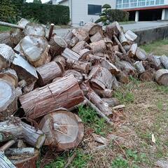 ★薪割り応援隊　募集　割った量の半分は無料でお持ち帰りください!の画像