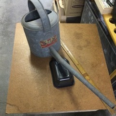 昔のトタンジョーロ　ハスの実はつきません