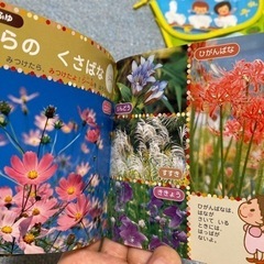 小さなお散歩図鑑&シール&ポーチの画像