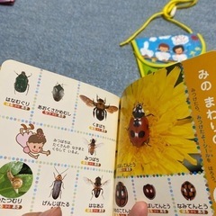 小さなお散歩図鑑&シール&ポーチの画像
