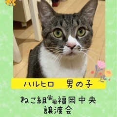 大怪我をして保護された甘えん坊の男の子