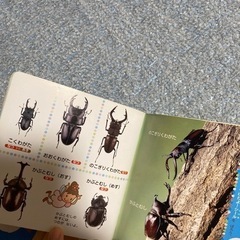 お散歩図鑑セットの画像