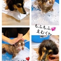 障がい者グループホーム(女性棟)