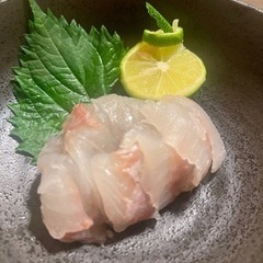 10/7 金曜日 23:00頃〜外房釣り
