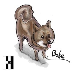 オリジナルイラストエコバッグ　アイロンプリントの画像