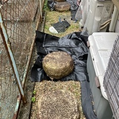 庭石の画像