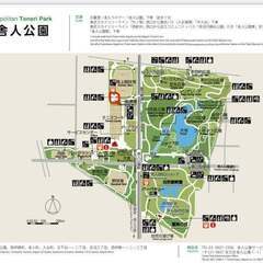 11月5日(月・祝) 舎人公園かけっこ教室の画像