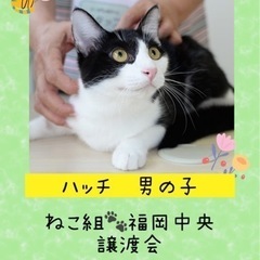 イケメンでやんちゃな男の子