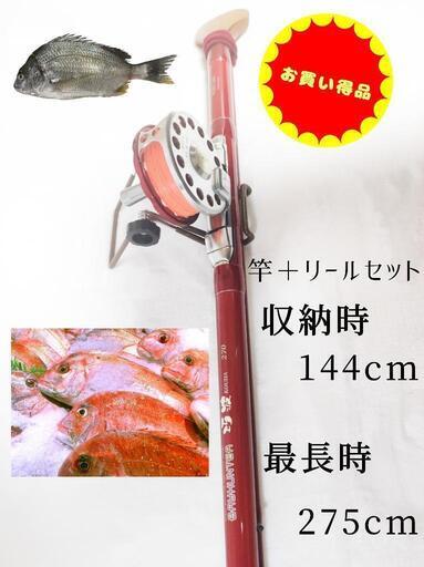 【セット】ヘチ竿✩BAYHUNTER✩巧波270 ＋黒鯛工房　THE落し込み VL-65R