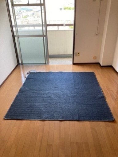 175cm 2畳用電気カーペット