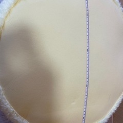 ぽむぽむぷりんのぬいぐるみの画像