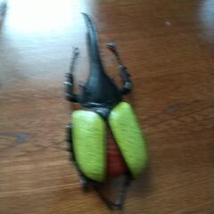 カブト虫3個の画像