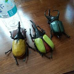 カブト虫3個の画像