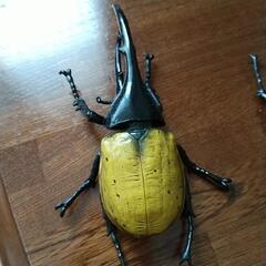 カブト虫3個