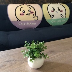 フェイクプランツの画像