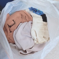 服 断捨離中 着なくなった服