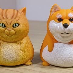 気の合う友達を作りたいです！