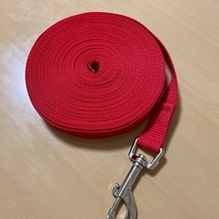 ロングリード10mの画像