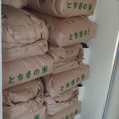 令和4年産🌾新米✨コシヒカリ🌾いかがでしょうか🤗