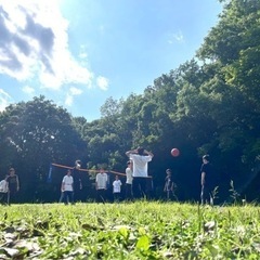 ソフトバレーやります‼️