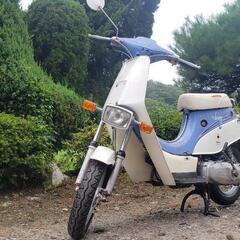 🛵原付🛵 スワニー❗レトロなバイク室内保管🛵県外配送可能の画像