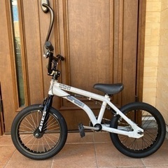 STN ARESBIKES アーレスバイク BMX 16インチ 子供用