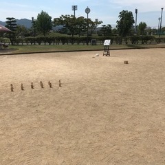 笠岡で遊ぼう！ - 笠岡市