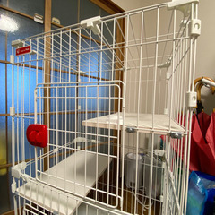 ペットケージ　猫用の画像