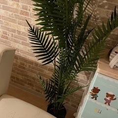 【引き取り先決まりました】ニトリ 造花 フェイクフラワー 観葉植物