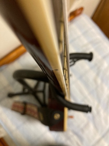 Greco eg-800 成毛滋モデル