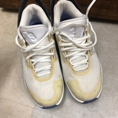 キズバスケット　ナイキ NIKE ジョーダン フライ ロックダウン 22.5の画像