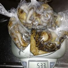 釣りエサシガヤーダコの画像