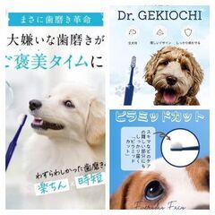 ドクターデンタルワン/Dr.GEKIOCHI歯ブラシ（犬用）の画像