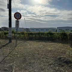 好評につき、伐採　剪定　除草　承ります✨ − 茨城県