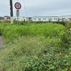 好評につき、伐採　剪定　除草　承ります✨ - 剪定/造園