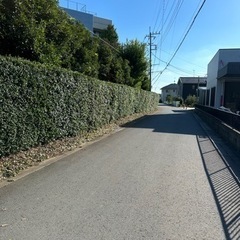 好評につき、伐採　剪定　除草　承ります✨ - 筑西市