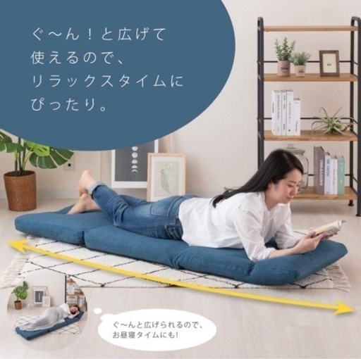 デザイス (de・za・isu) ごろ寝クッション座椅子