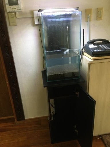 即戦力‼今日もバクテリア入れました。ビーシュリンプ用　ハイタイプ水槽　LEDライト/水槽台/ソイル／底面/エアーポンプ付