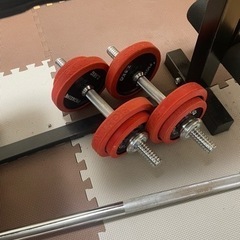 ファイティングロード筋トレ器具　ベンチプレスとダンベルの画像