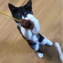 甘えん坊の男の子♪